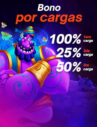 Bonos de Primeras Cargas